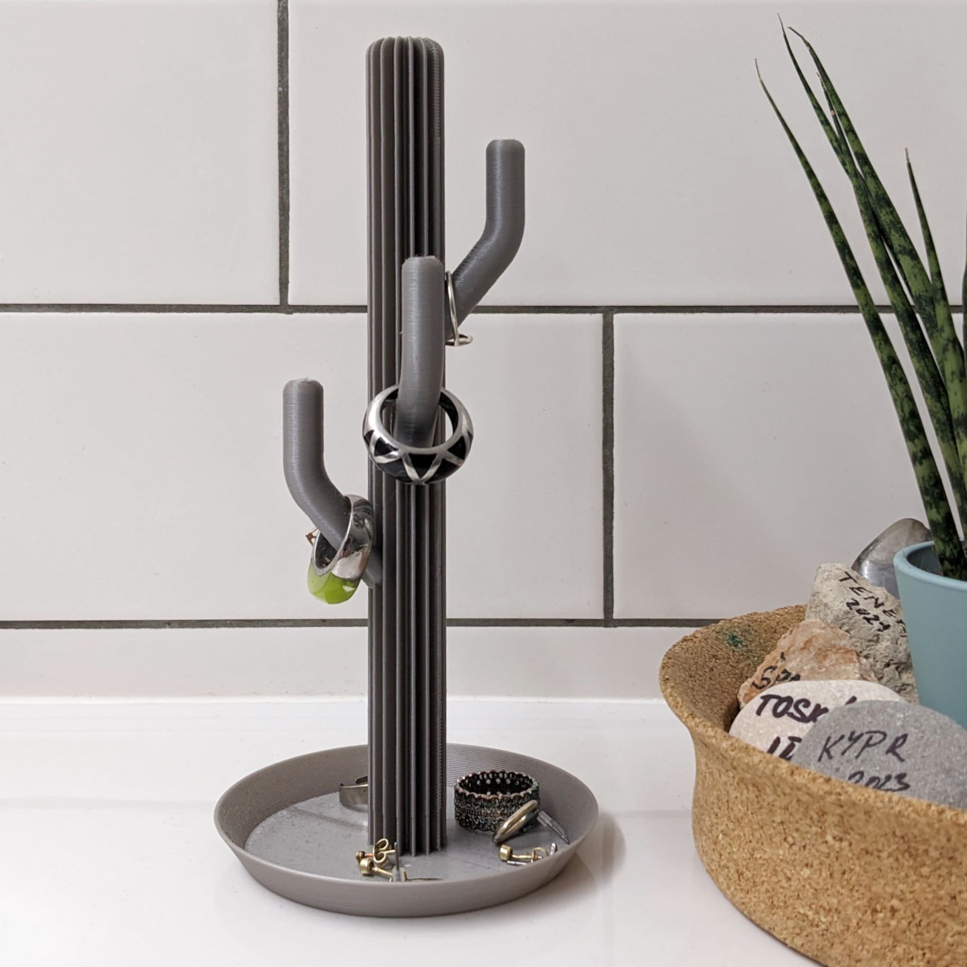 Cactus