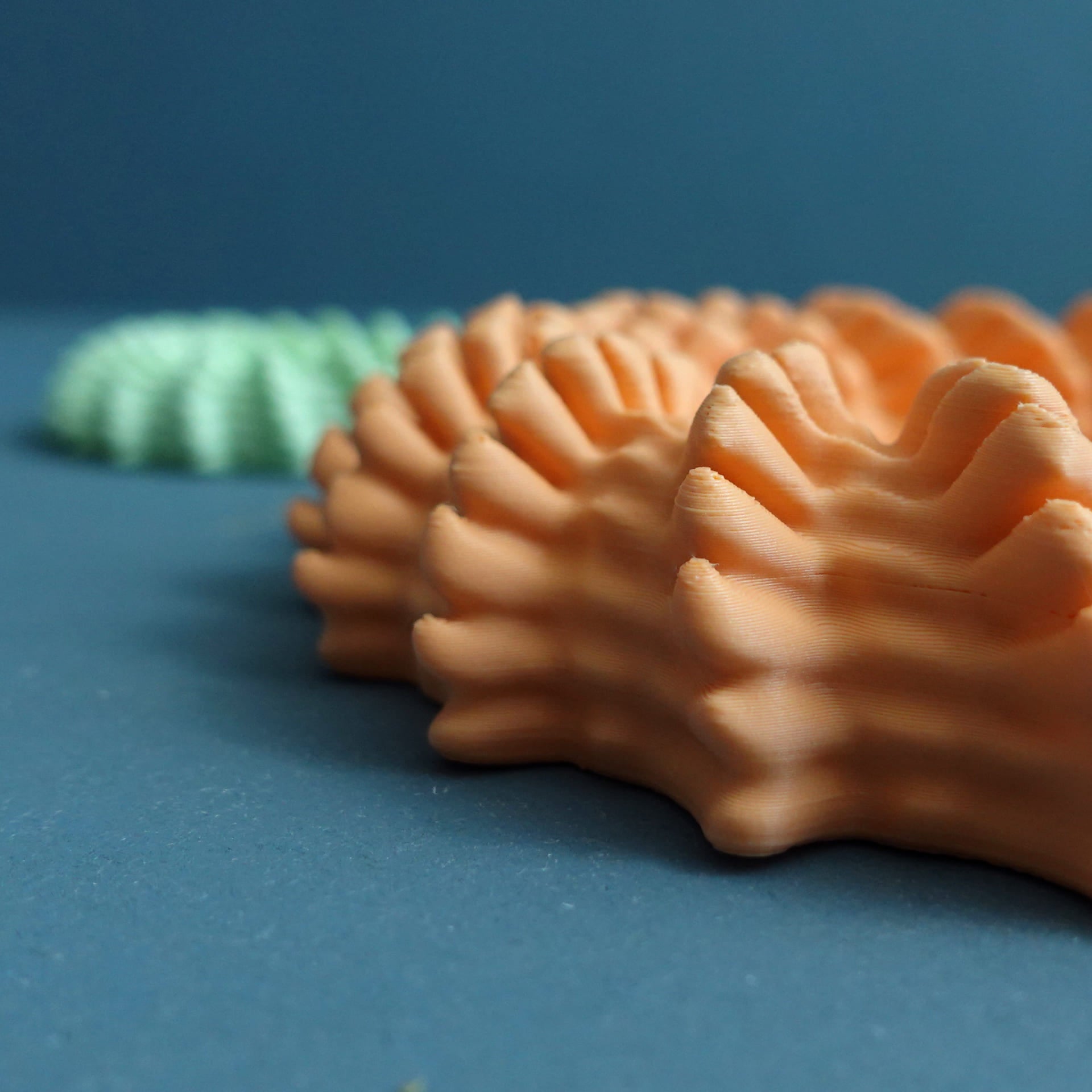 Heliopora Coral Tray
