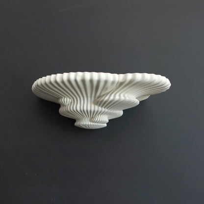 Tinder Fungus Wandregal