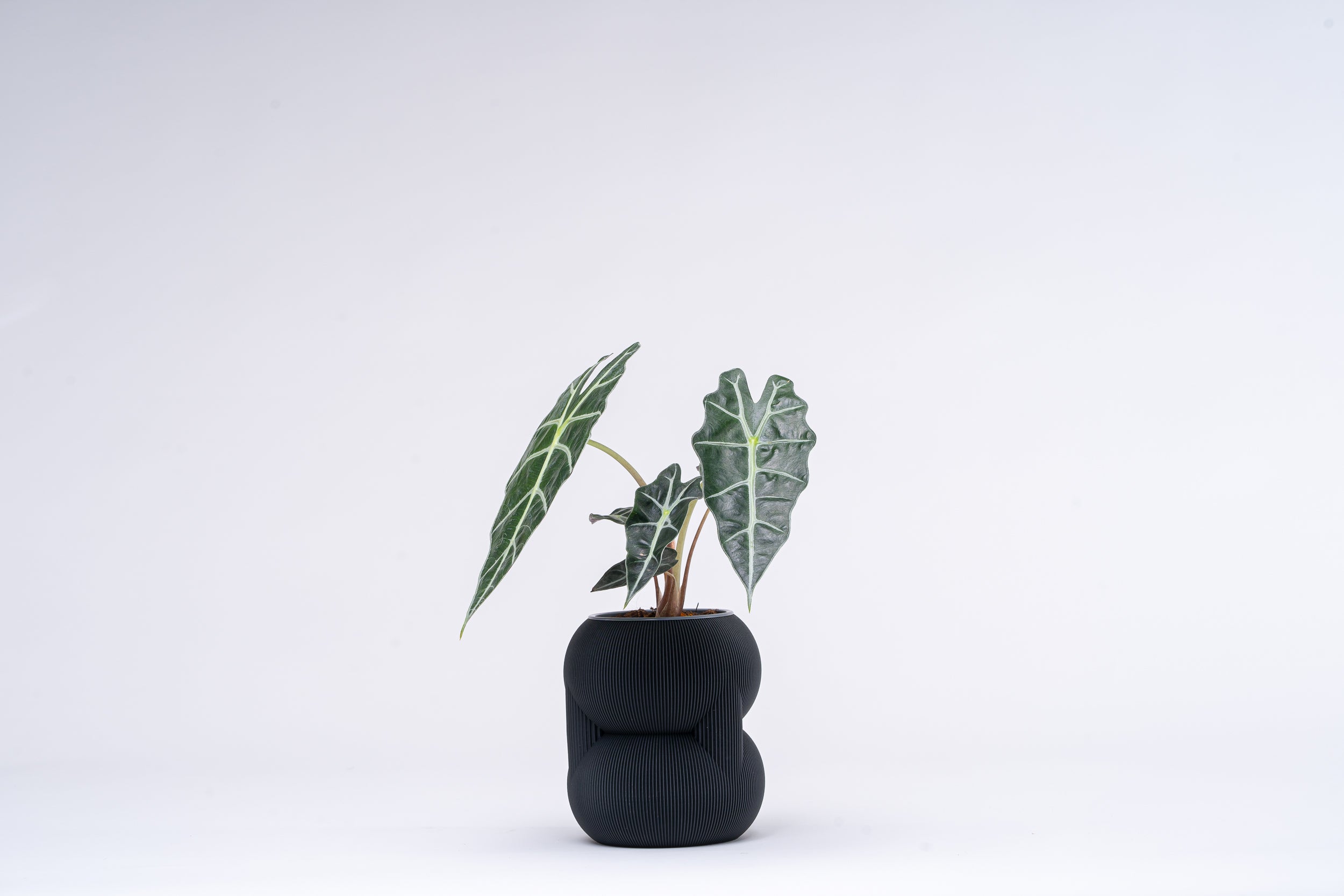 83 Vase