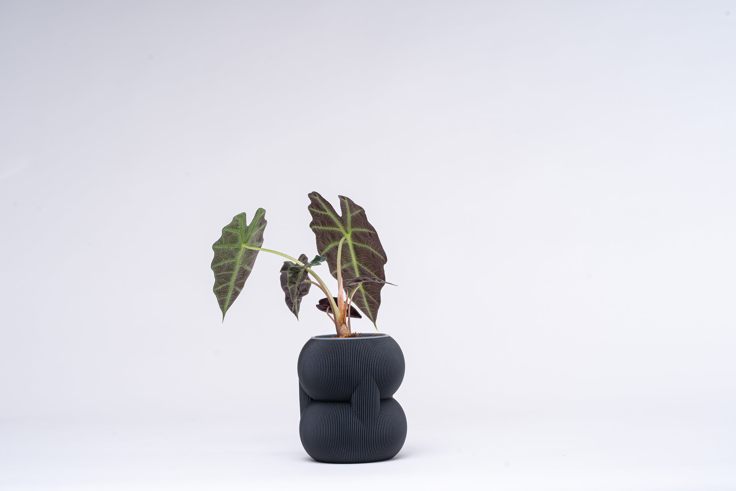 83 Vase