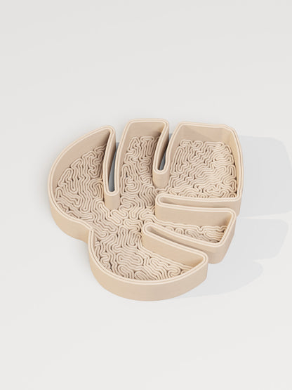 Monstera Leaf Tray