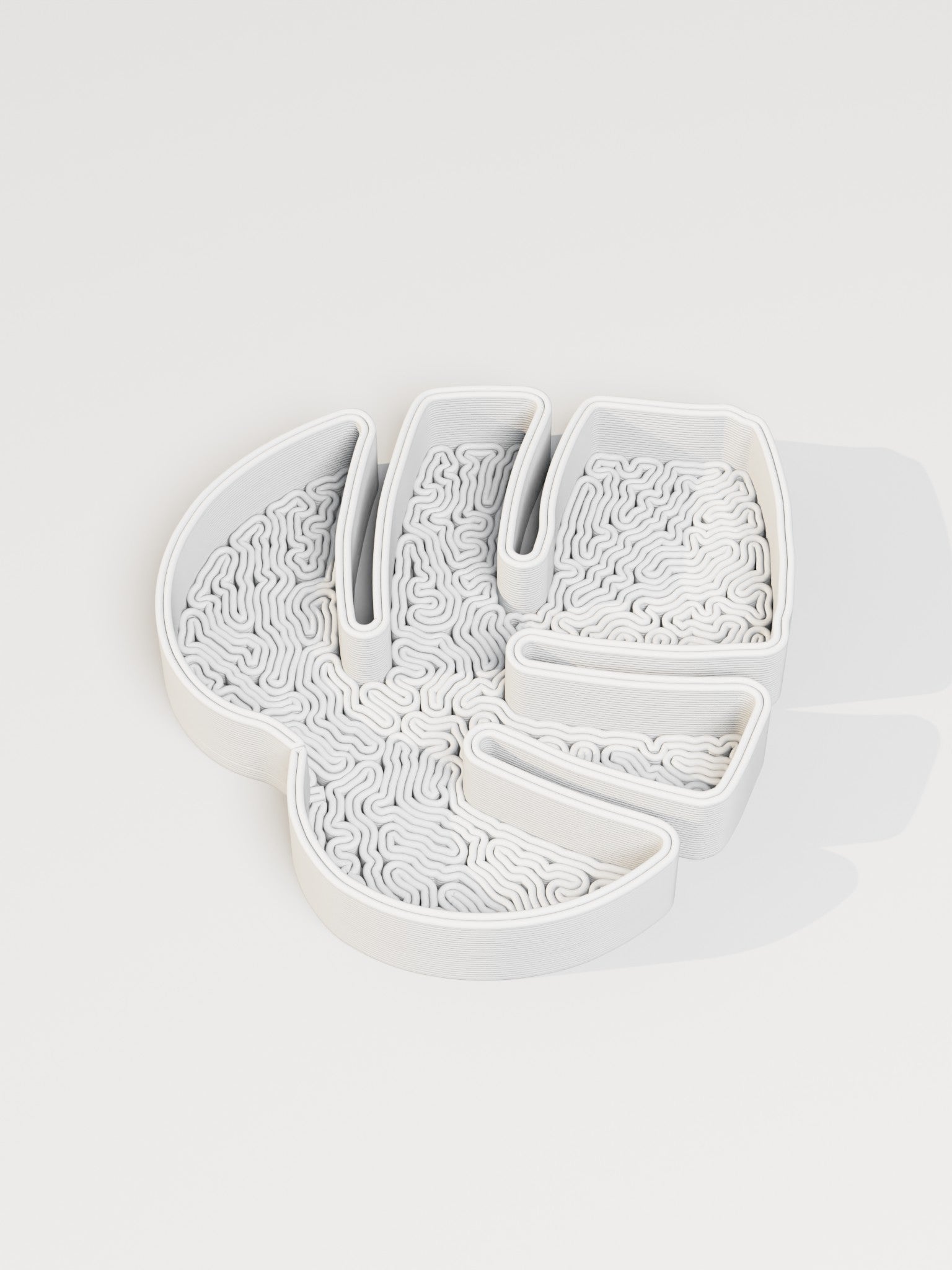 Monstera Leaf Tray