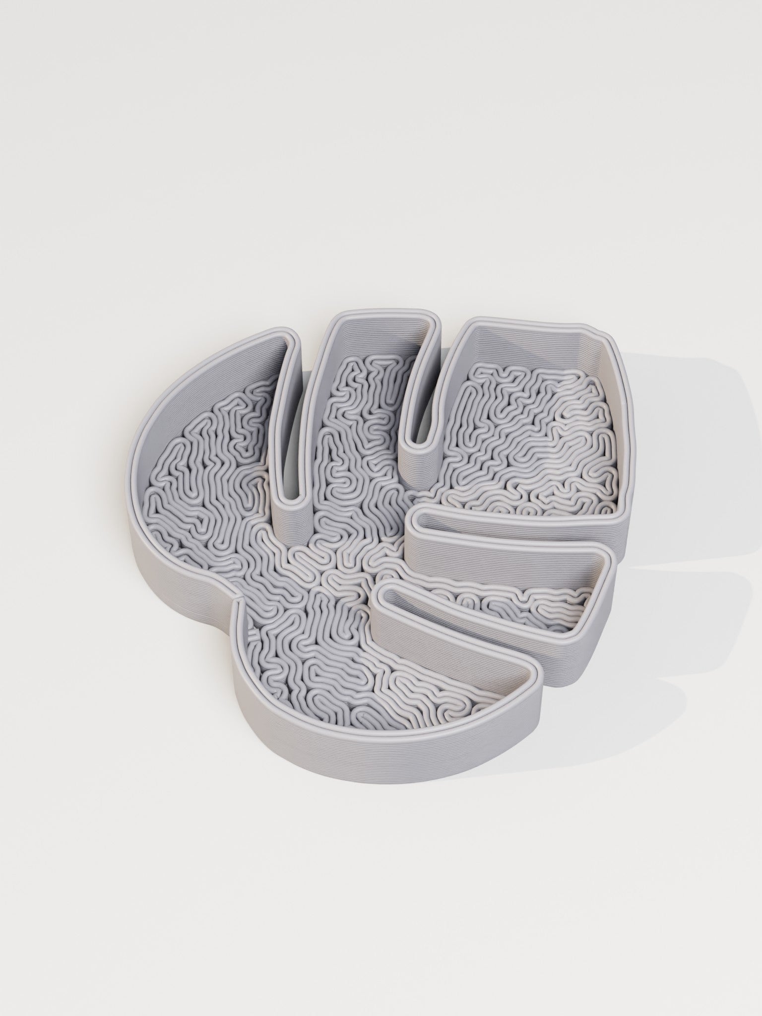 Monstera Leaf Tray