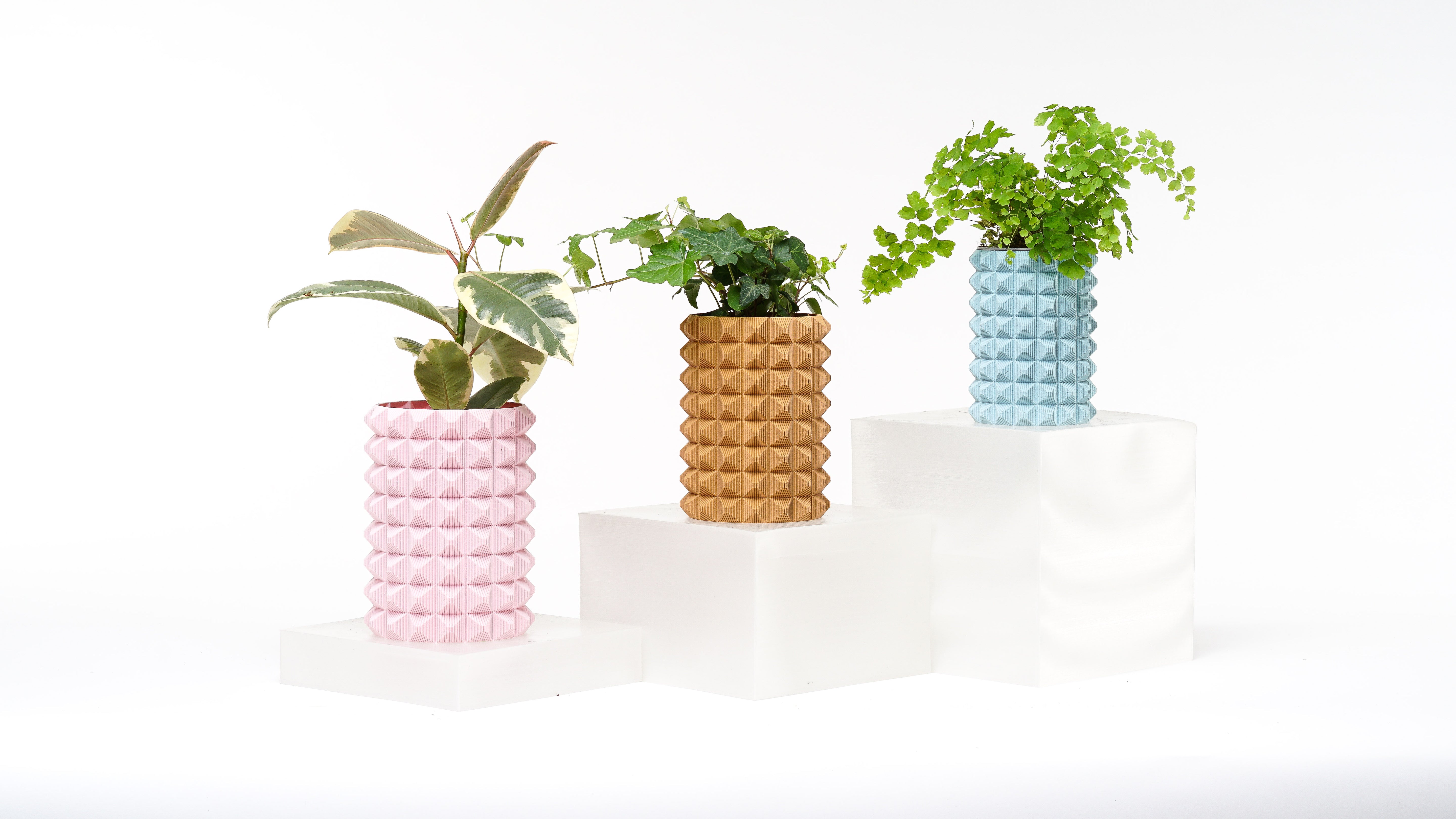 Porcupine Vase