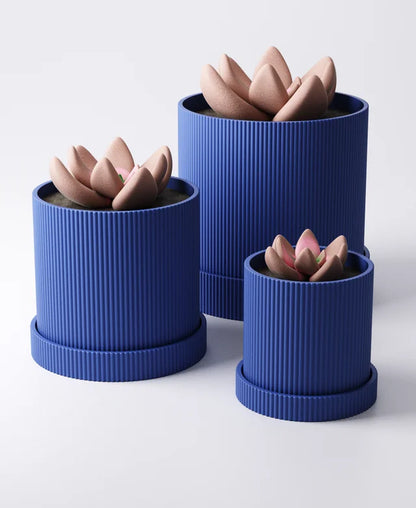 Zackiger Pot